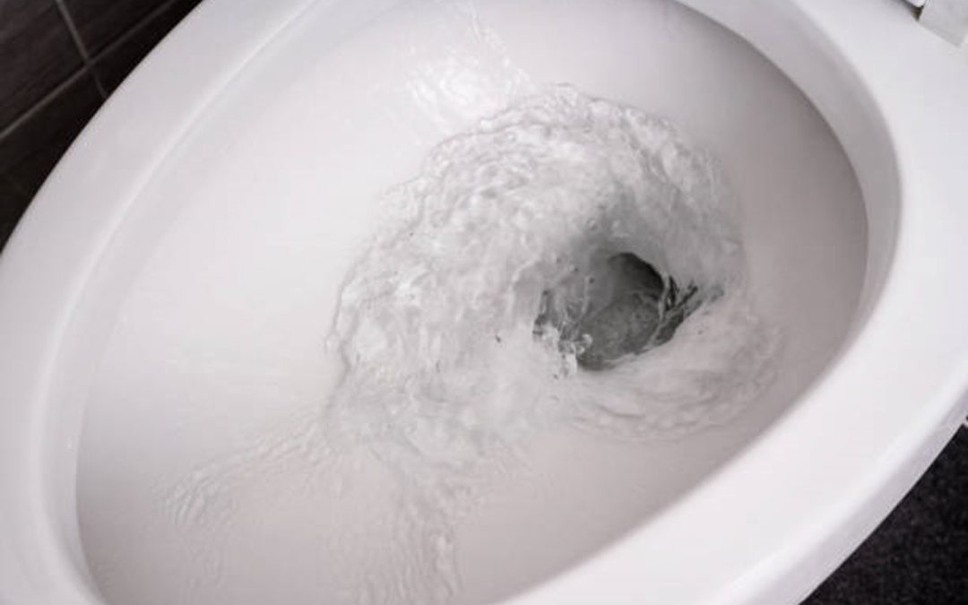 Why is My Water so Low in My Toilet?