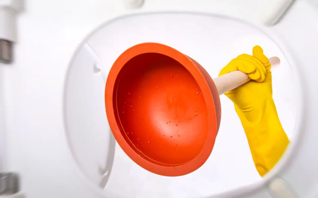 A person holding a plunger from the toliet bowl's perspective